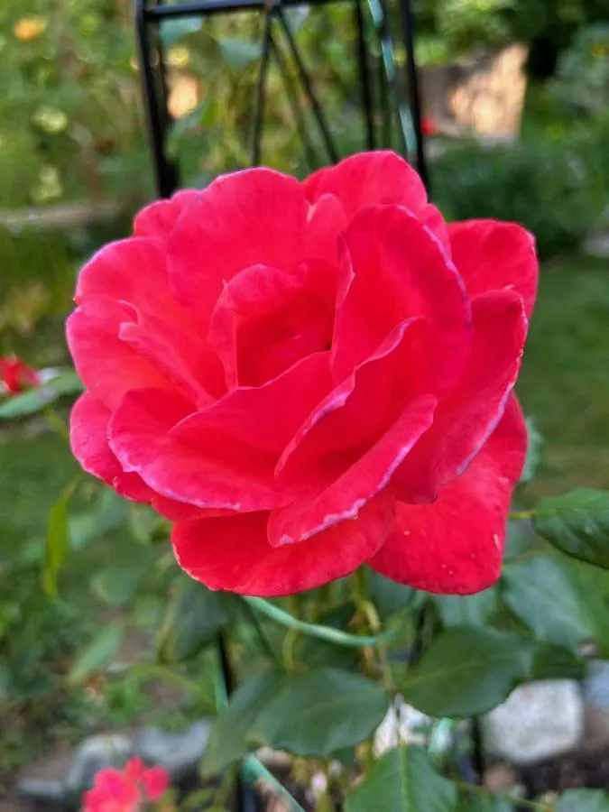 North Nanaimo Gem - Garden-View Room With Private Ensuite 0*,  Canada